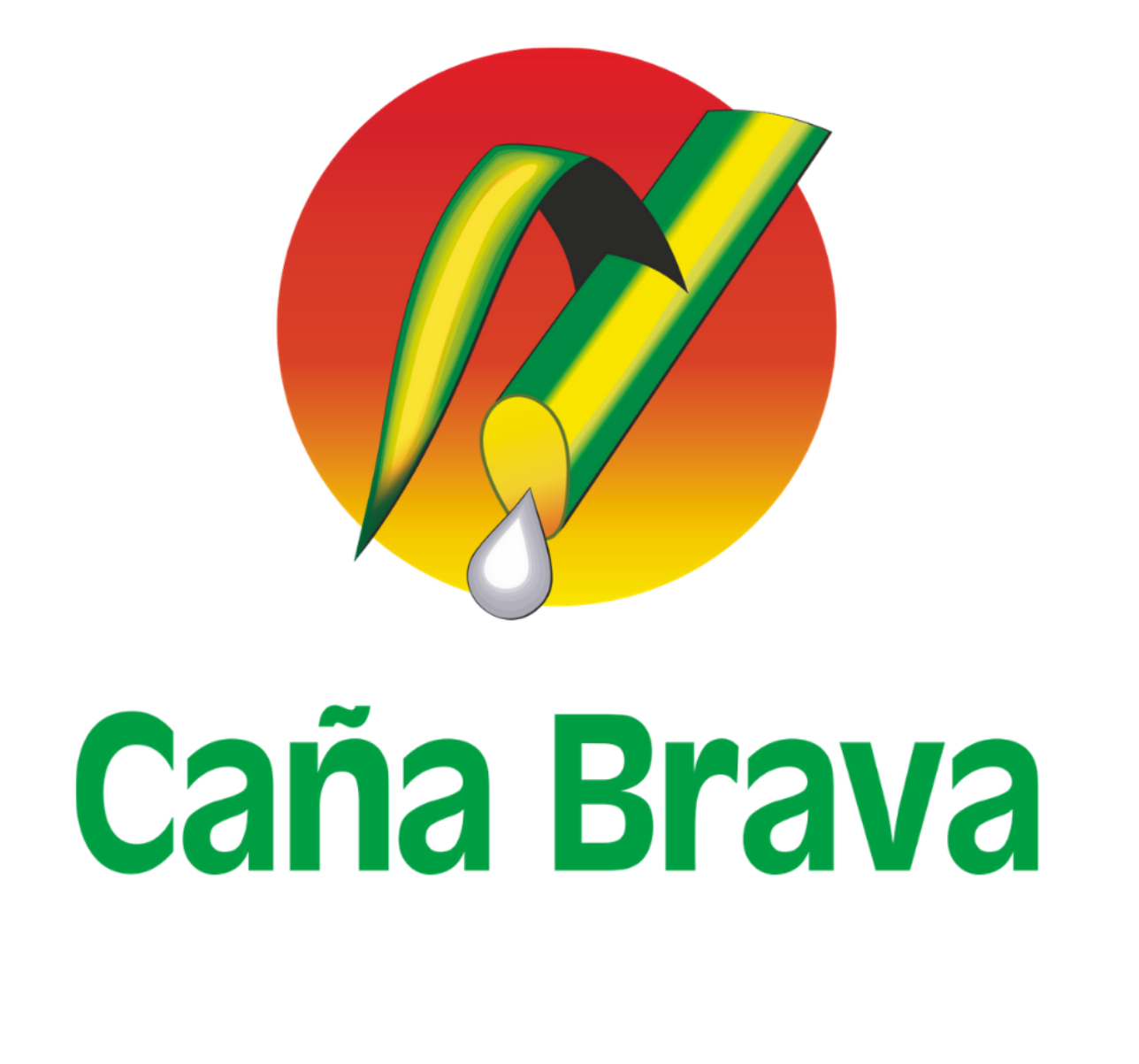 PUBLICIDAD 2025 (25) PUBLICIDAD 2025 (25)